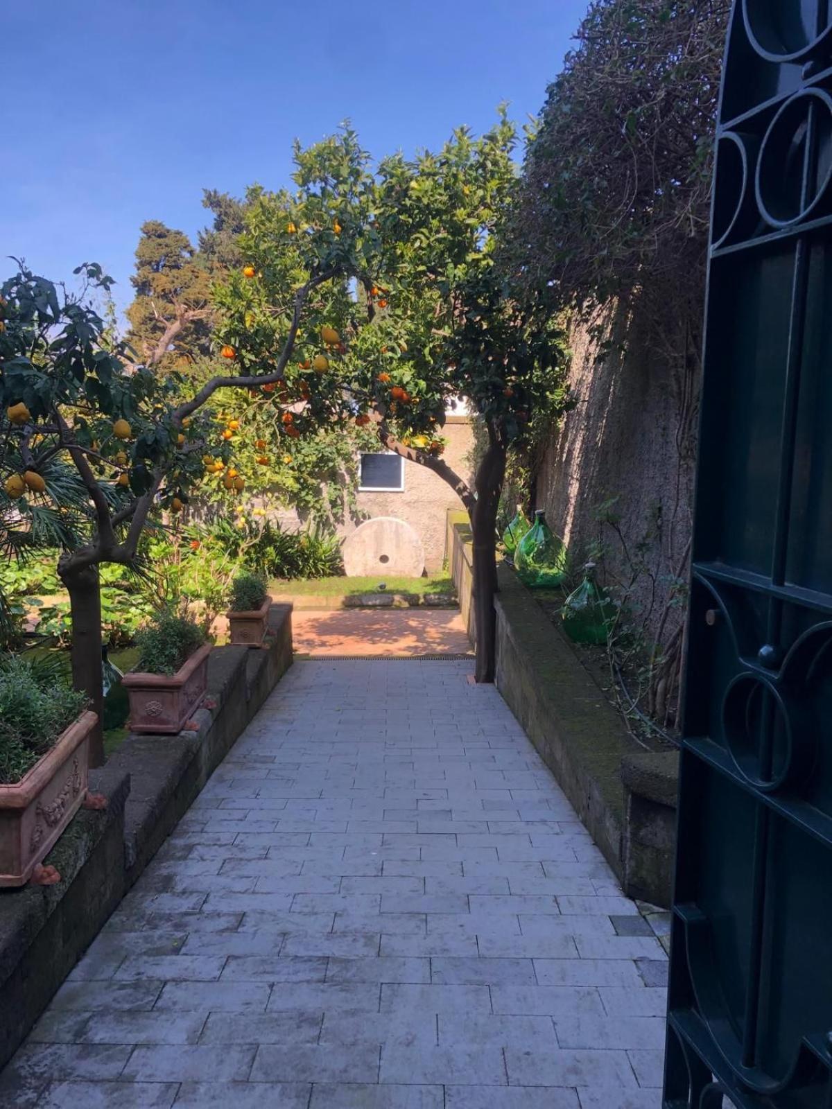 Chalet Lidia Sorrento Bagian luar foto
